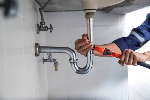 Best Best Plumbers Near Me  in Dodson Branch, TN
