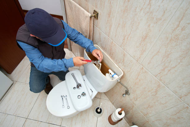 Best Local Plumber Services  in Dodson Branch, TN