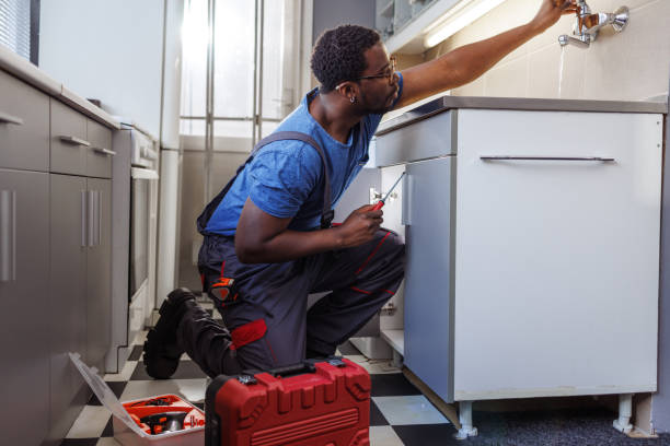 Best Residential Plumbing Services  in Dodson Branch, TN